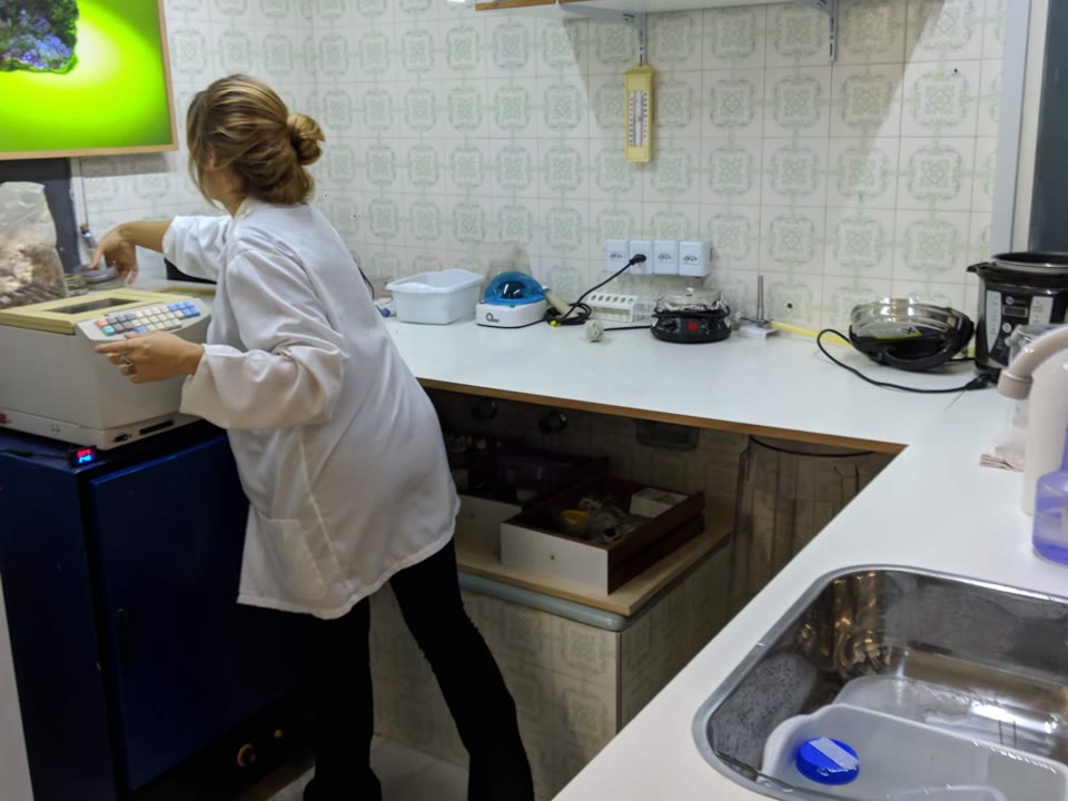 Pesquisadora de jaleco trabalhando num laboratório improvisado, com bancada, pia e prateleiras de reagentes